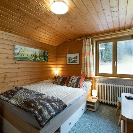 Haus Spertental Apartment Kirchberg in Tirol